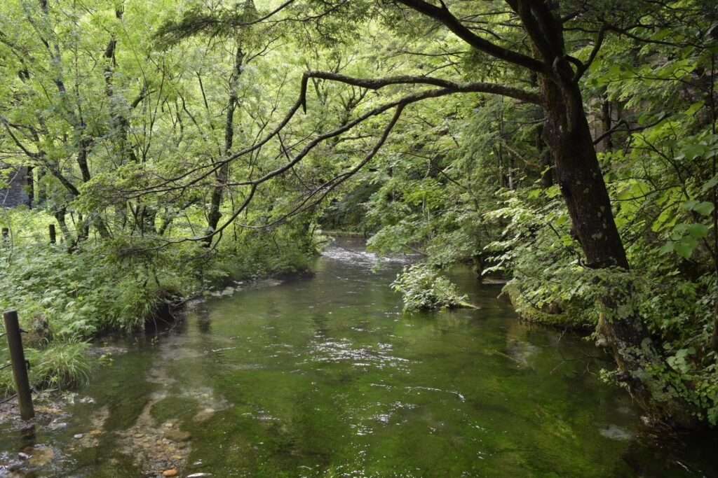 夏の上高地避暑スポット　清水川