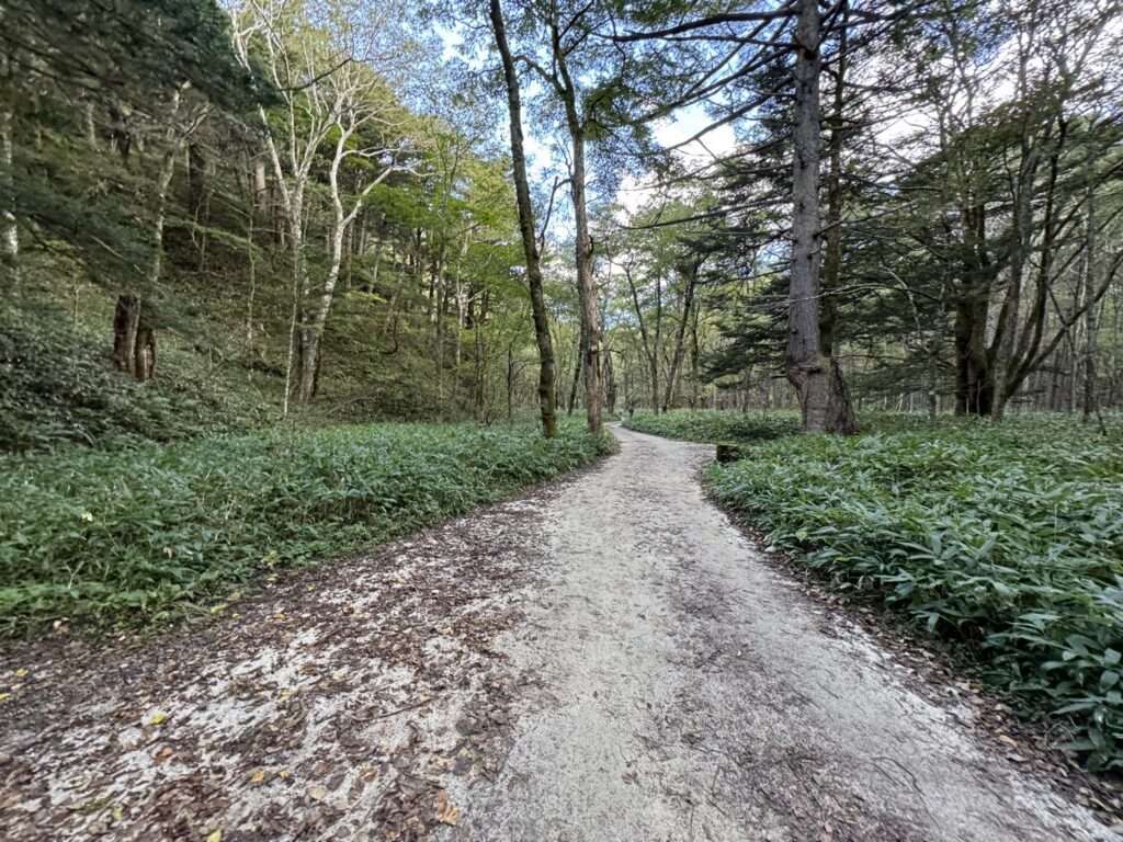 梓川左岸道　明神方面　通行再開　通行止め解除