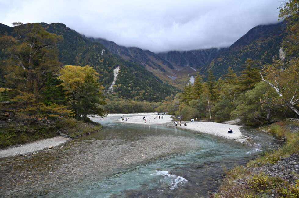 今の上高地　紅葉情報　黄葉情報　見頃