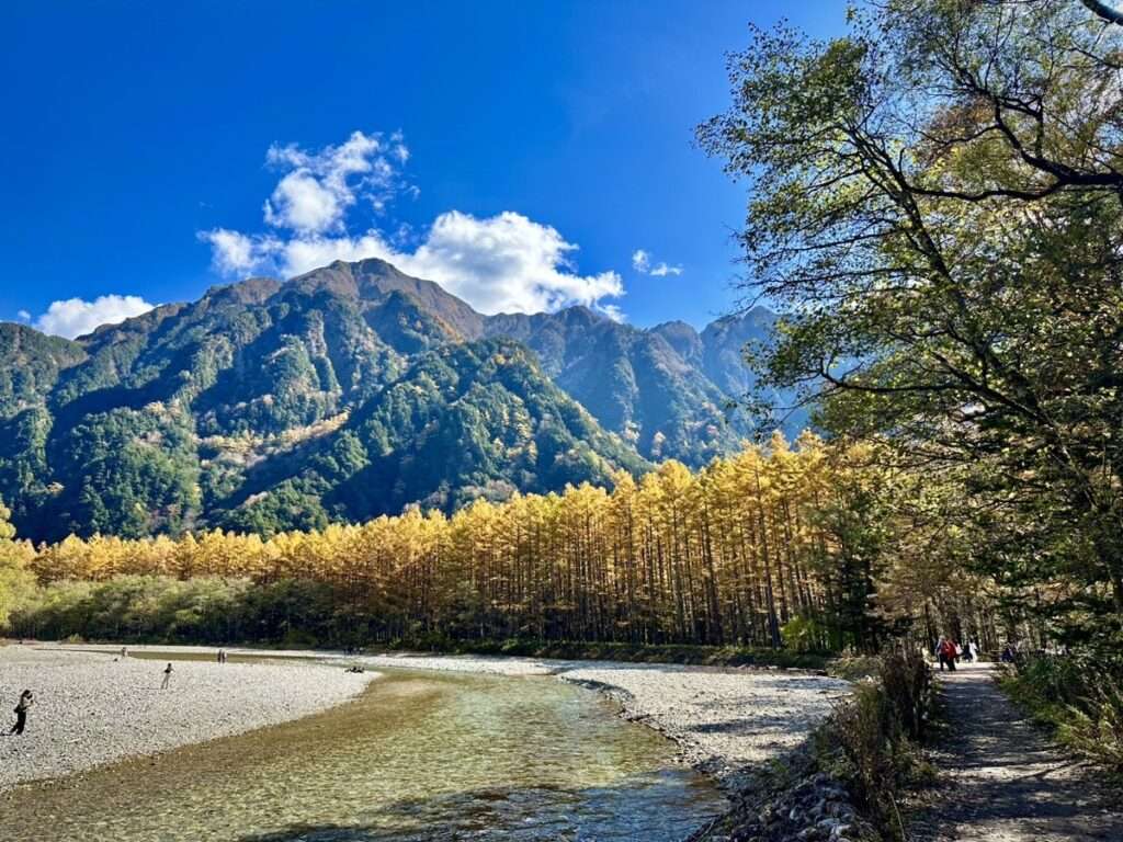 ウェストン碑　カラマツの紅葉　黄葉　霞沢岳　六百山