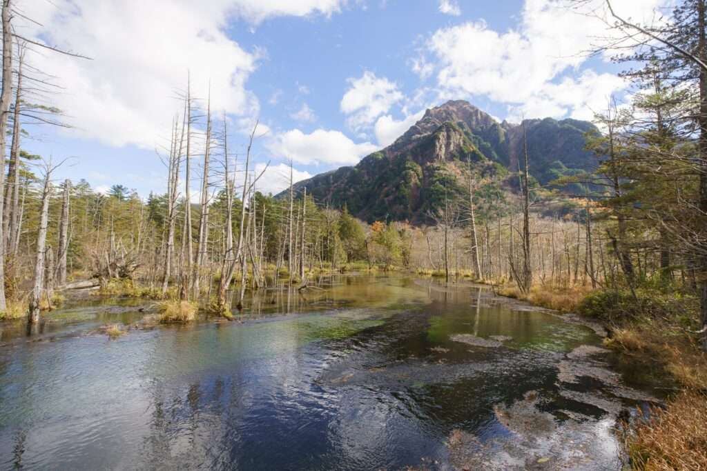 岳沢湿原　六百山　紅葉　黄葉